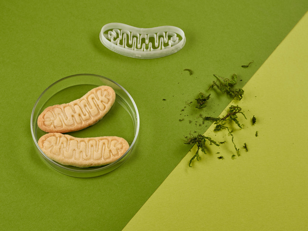 Mikrobiologie Keksausstecher - Mitochondrion Plätzchenausstecher mit Keksen