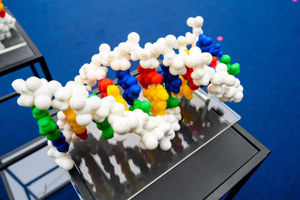 3D Druck DNA Strang in Farbe