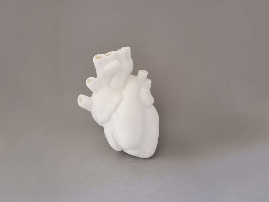 Anatomisches Herzform Vase Links gedreht