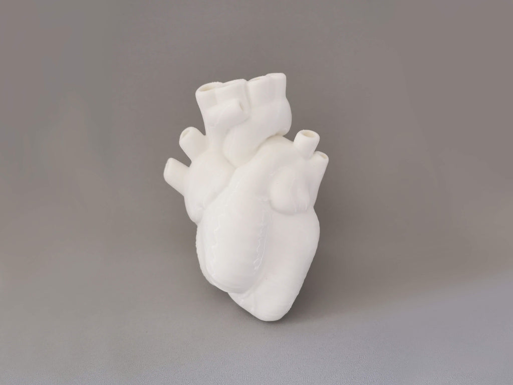 Anatomisches Herzform Vase von Vorne