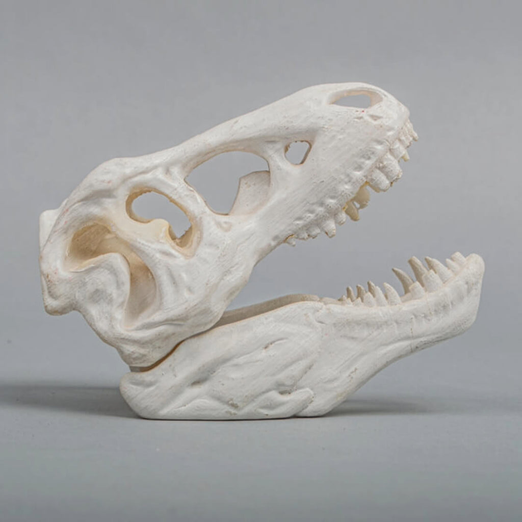 Dinosaurier 3D Druck Museum