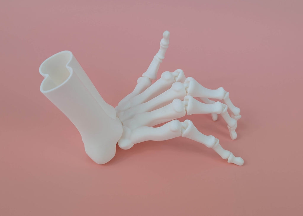 Handknochen mit Finger als Anatomie Dekoration