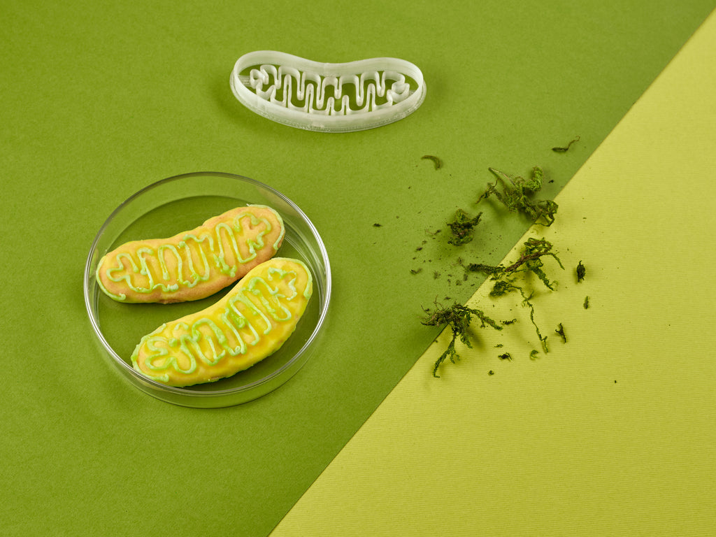 Mikrobiologie Keksausstecher - Mitochondrion Plätzchenausstecher mit glasierten Keksen