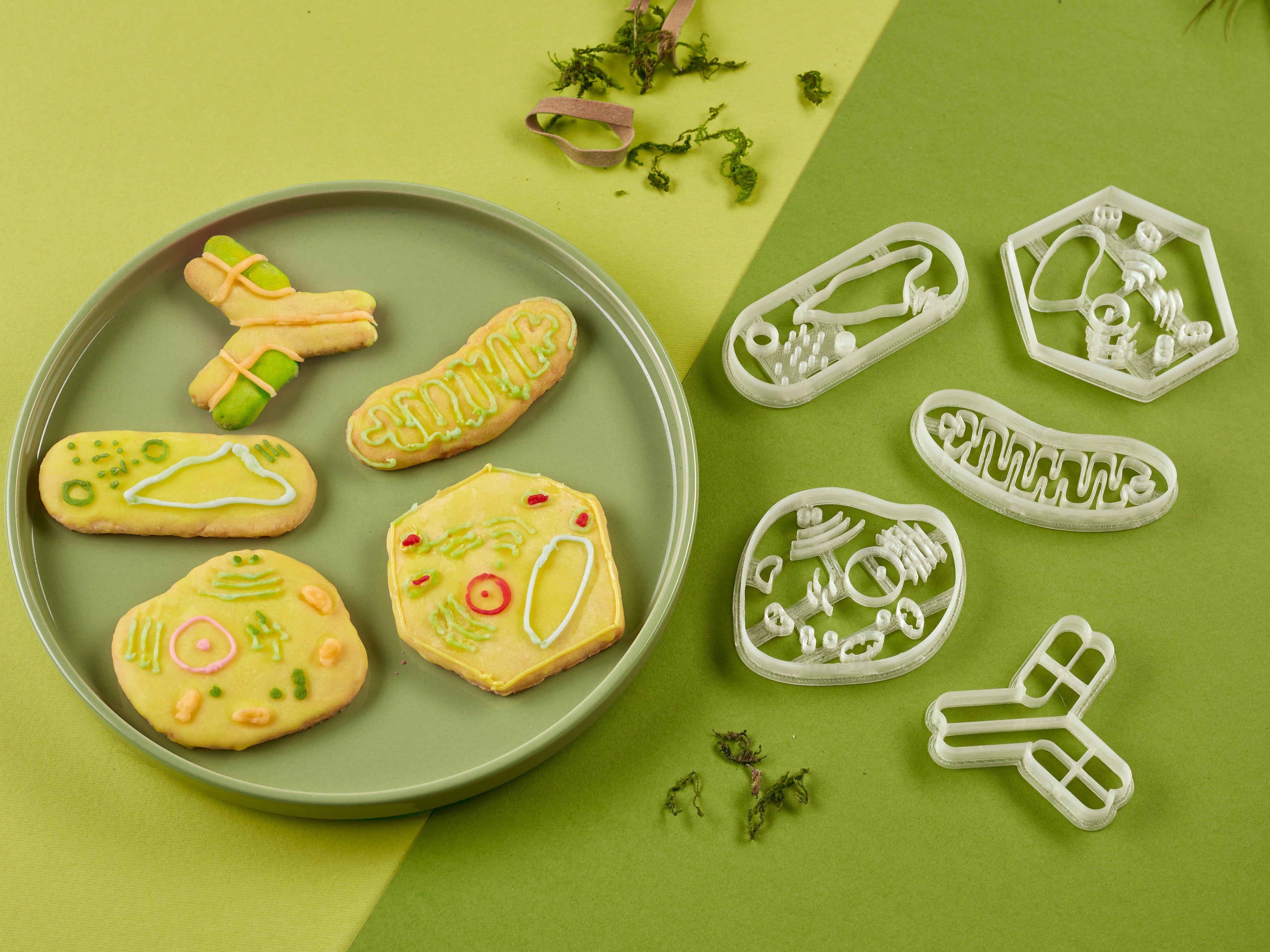 Pathologists Cookies Microbiology Cookies The Microbiology Community Blog: #FEMSmicroBlog