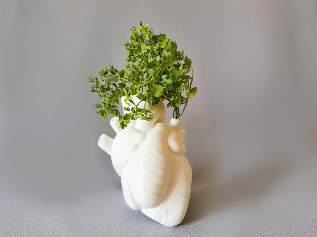 Vase Herzform mit Pflanze als Anatomisches Herz Deko 