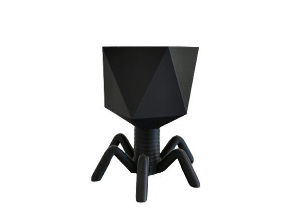 Black Bacteriophage Planter 3D Print